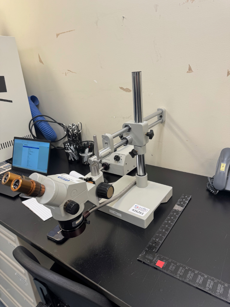 Image of Luxo Stereo Microscope